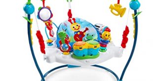 Amazon.com : Baby Einstein Neighborhood Symphony Activity Jumper .