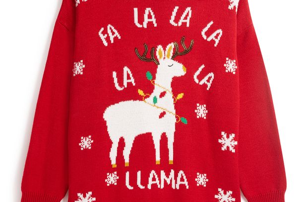 Primark's wacky Christmas jumpers and dresses are back in store .