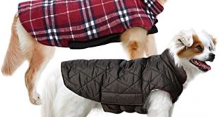 Amazon.com : MIGOHI Dog Jackets for Winter Windproof Waterproof .