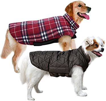 Amazon.com : MIGOHI Dog Jackets for Winter Windproof Waterproof .