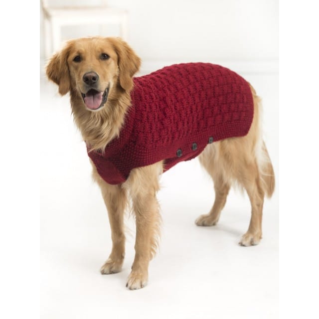Clifford Dog Sweater (Knit) - Lion Brand Ya