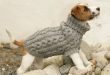 Top 5 free dog sweater knitting patterns | LoveCrafts .