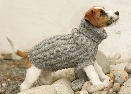 Dog Sweater Knitting Pattern rocbe com
