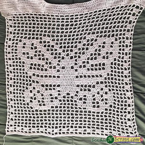 Filet Crochet Butterfly | AllFreeCrochet.c