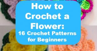 How to Crochet a Flower: 16 Crochet Patterns for Beginners .