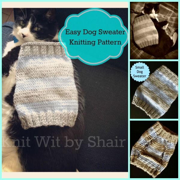 Easy Dog Sweater Knitting Pattern | Dog sweater pattern, Cat .
