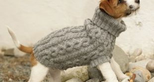 Top 5 free dog sweater knitting patterns | LoveCrafts .