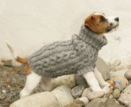 Top 5 free dog sweater knitting patterns | LoveCrafts .